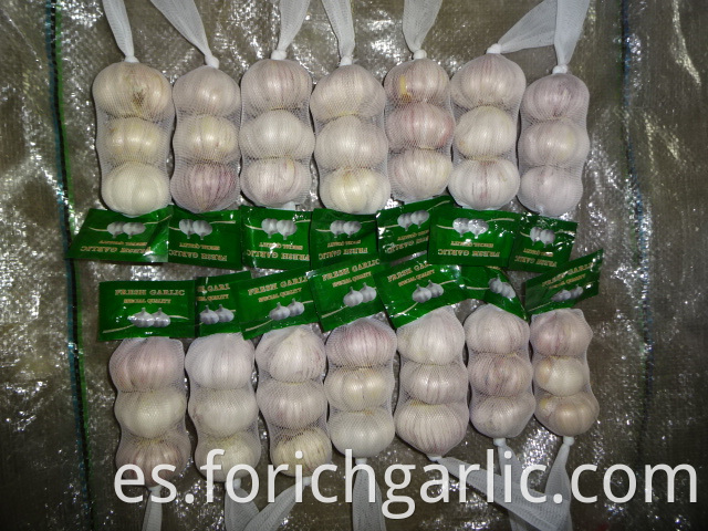 Crop 2019 Fresh Normal White Garlic